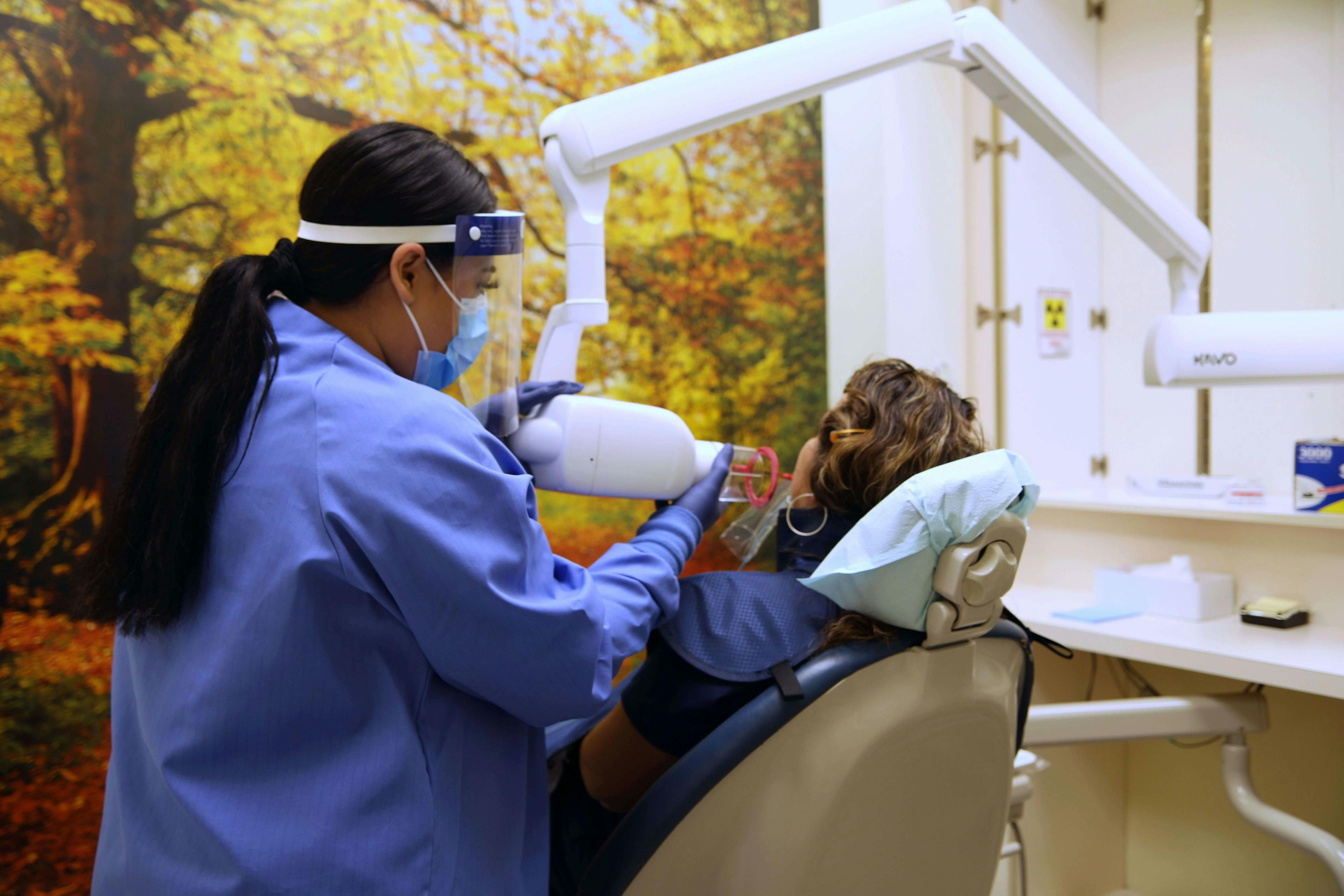 Dental assistance in a process of a taking a X-ray for a patient